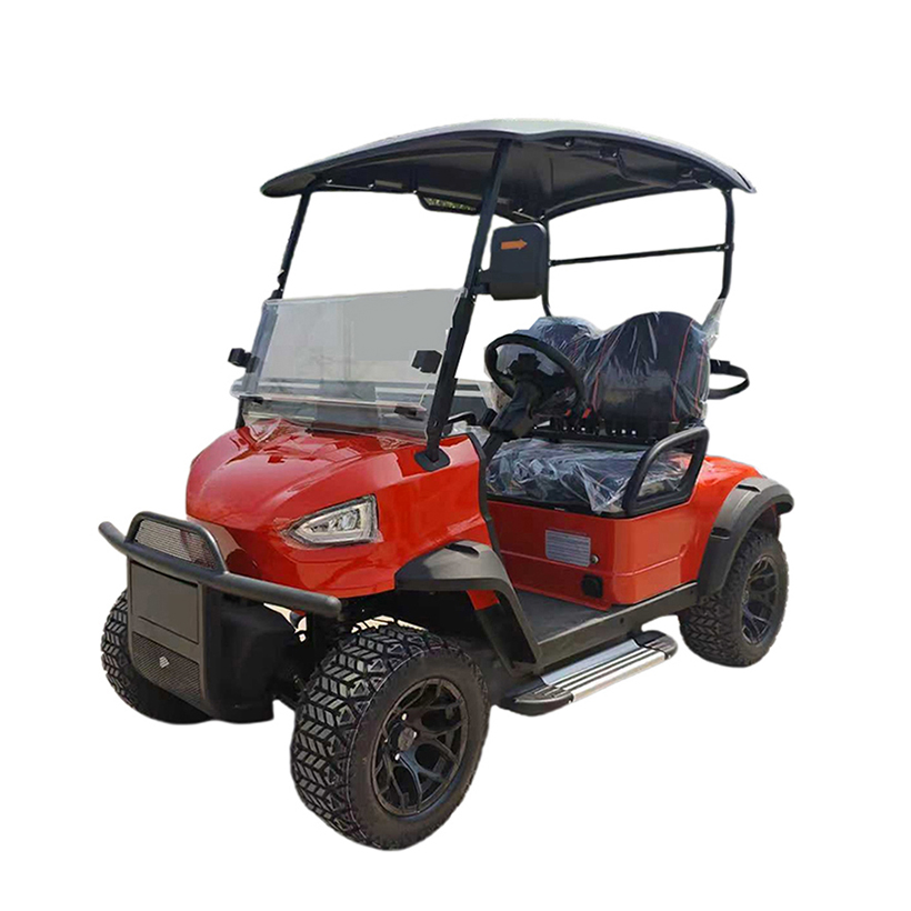 Customizable Color Options Luxury Lithium-Powered Go Kart Electric Golf Cart