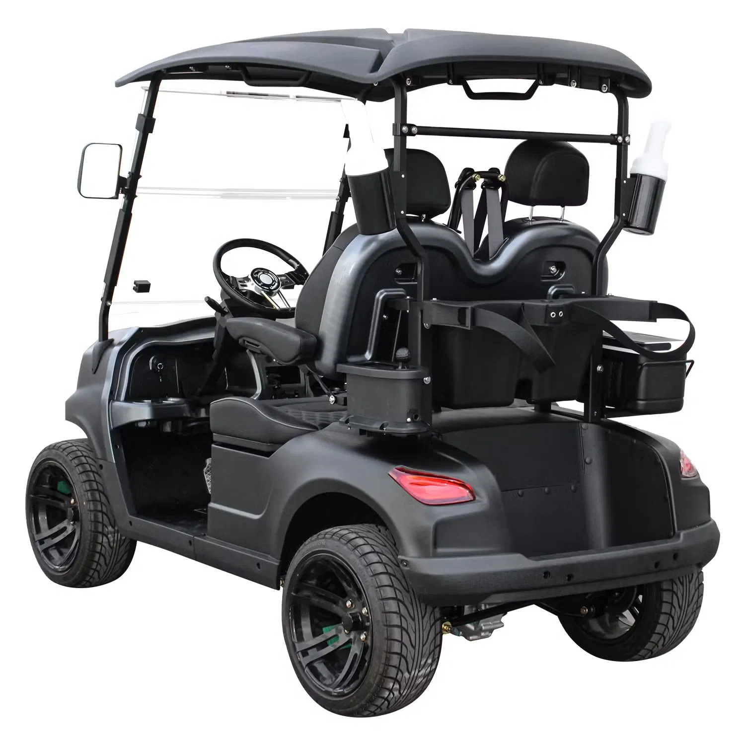 DOT-Approved Golf Cart - 2-Seat Street Legal Electric Lsv