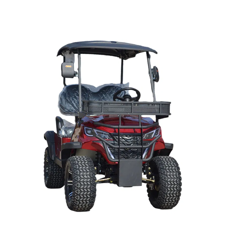 Efficient Customizable Electric Golf Cart with Luxury 2 Seat Design