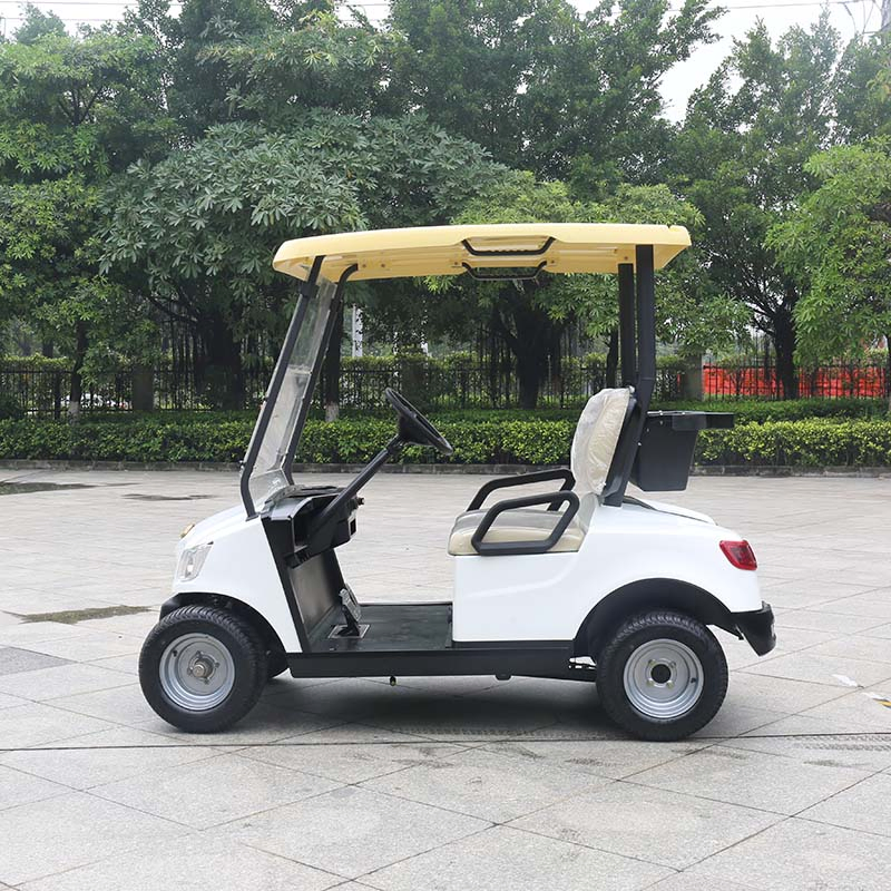 Guangdong Marshell Electric Golf Carts CE Approved Buggy New Model for Sale (DG-M2)