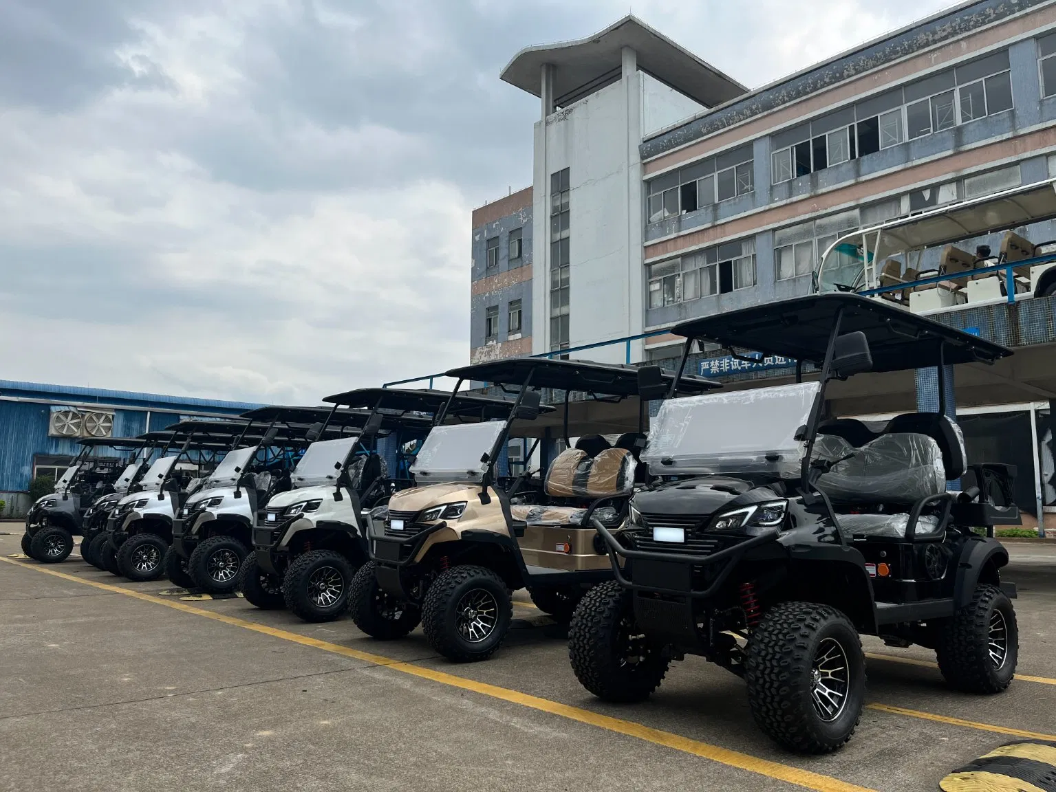 Custom Golf Golf Cart 25mph Golf Car Electric Golf Cart