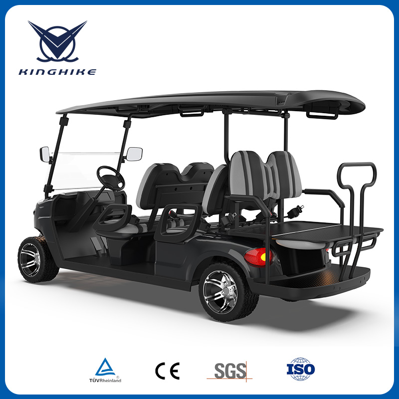 Packed and Loaded by Container Best Electric Golf Carts Sale