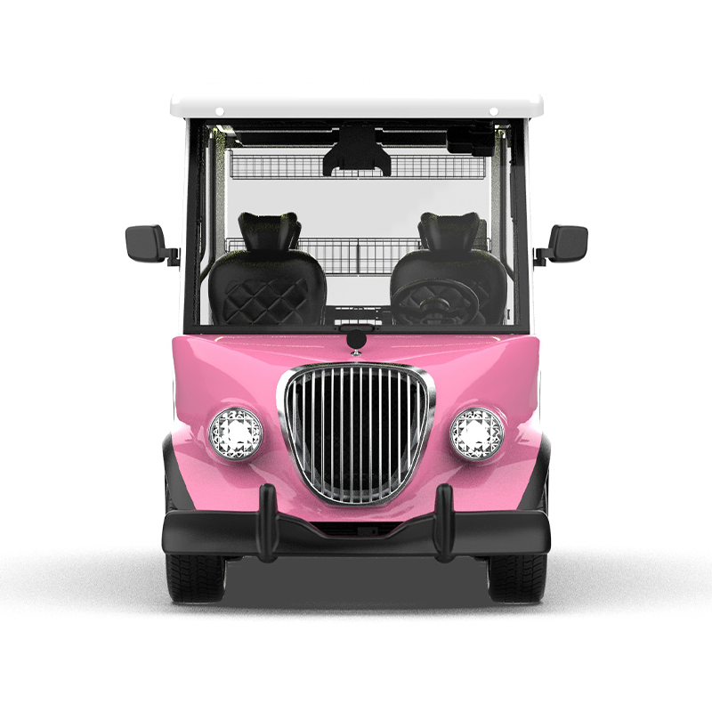 2025 New Parison-Aluminium Frame-Electric Car 6seats-Golf Carts Golf Scooter Offroad Golf Cart