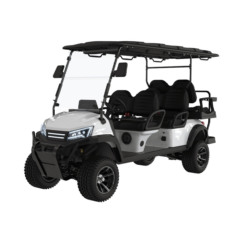 ODM Street Legal Lsv Electric Golf Buggy 4+2 Seater Customizable