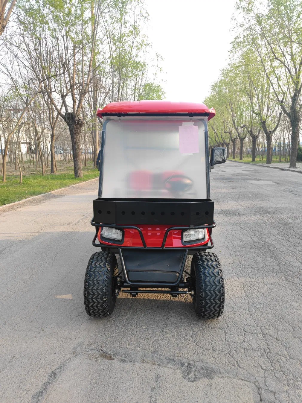 Hot Selling Gasoline Cart 2+2 Seater 4+2 Seater Used Icon Gas Powered Golf Carts/ Electric Golf Cart