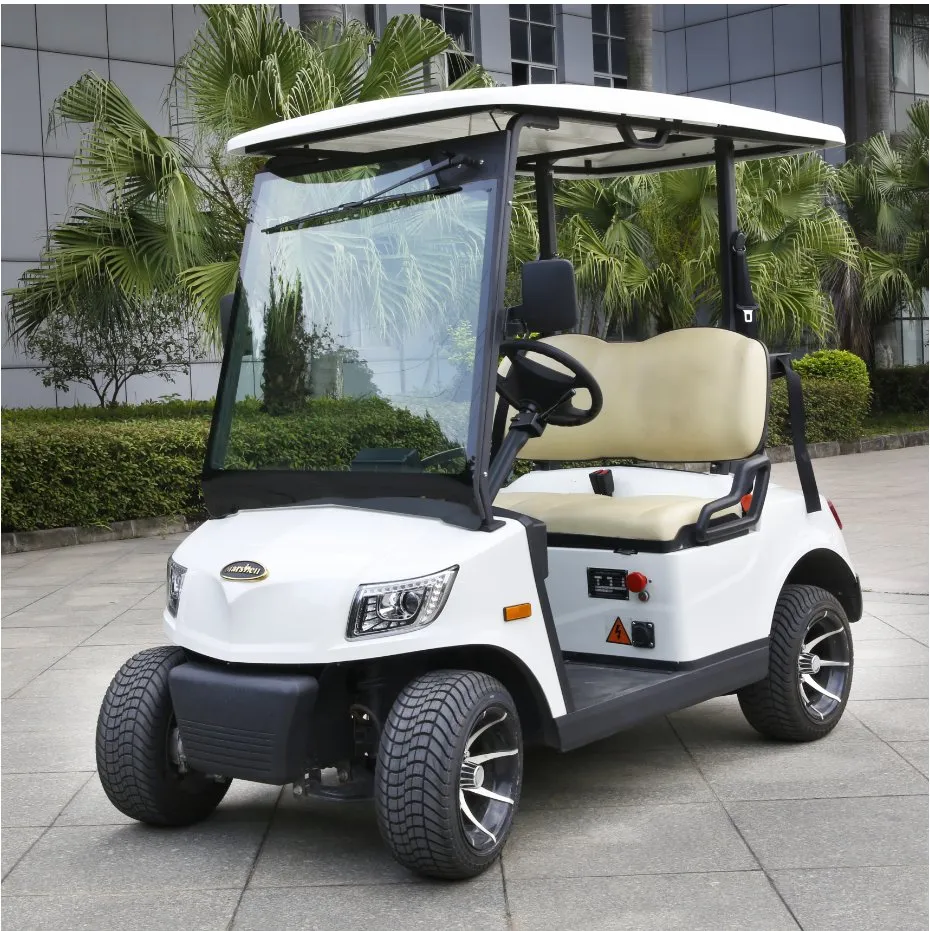 Premium 2 Seater Electric Golf Car
