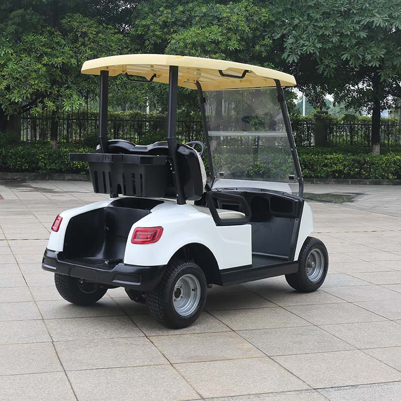 Guangdong Marshell Electric Golf Carts CE Approved Buggy New Model for Sale (DG-M2)