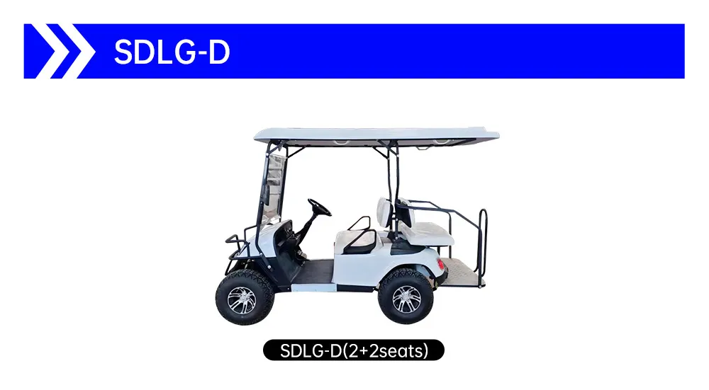Electric Golf Cart Rear