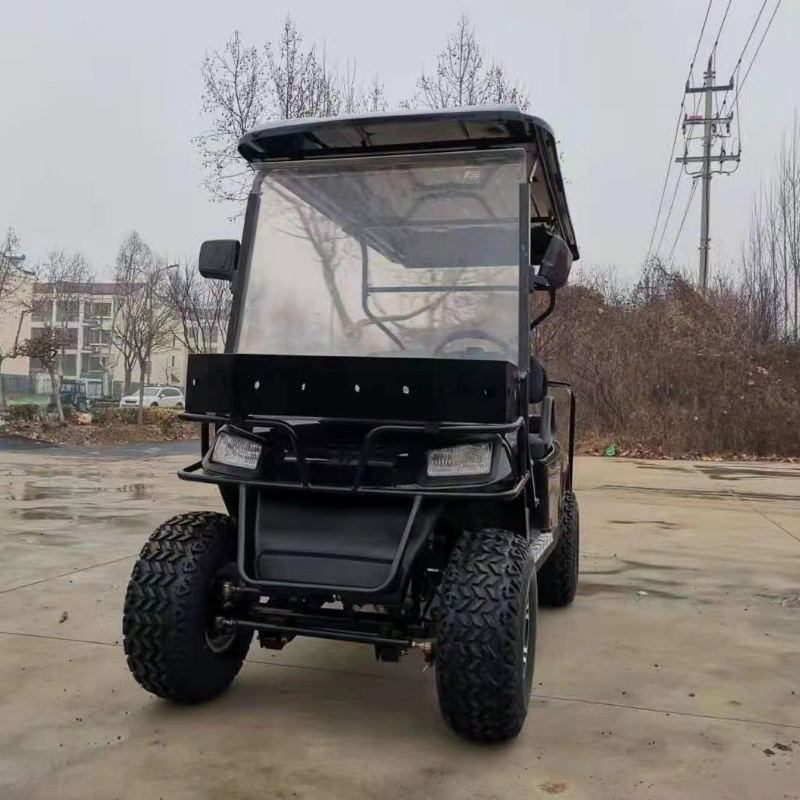 Electric 2 Antique Caddy Work Luxury SUV AC Huizhou Carts Clock Raised 16 Person Cup Holder Solar Roof Germany 4X4 10 Golf Cart