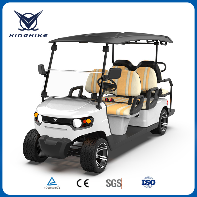 Packed and Loaded by Container Best Electric Golf Carts Sale