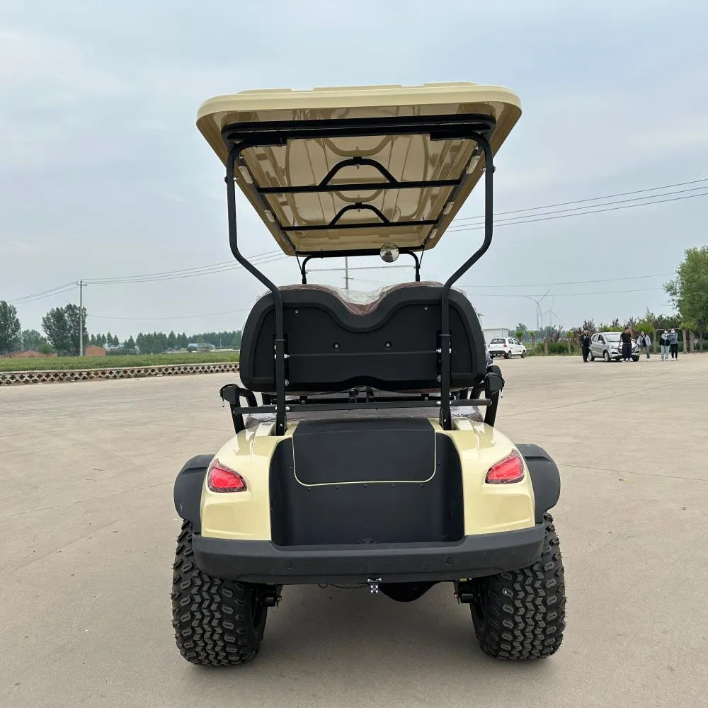 with Front Bumper and Front Basket Lifted off Road 48/72V 4 6 Seater Golf Cart