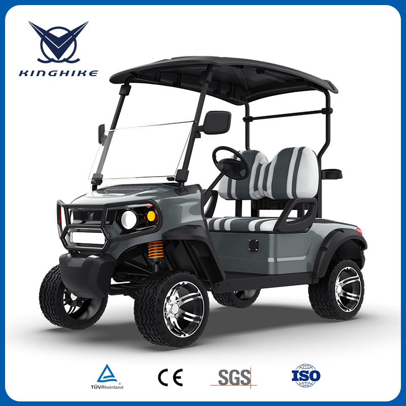Personal Street Legal Electric Golf Cart Accessories Custom Bodies