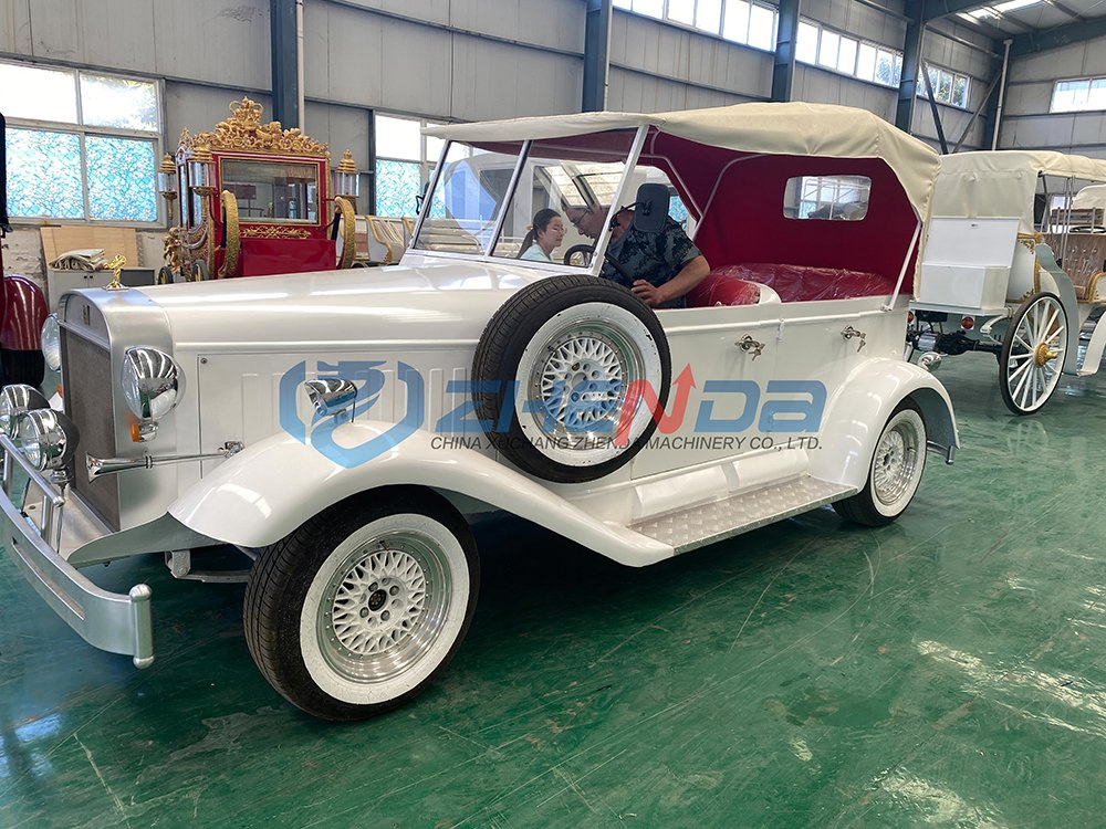 Chinese Accessories Gas Powered Battery Cart Electric Golf Carts