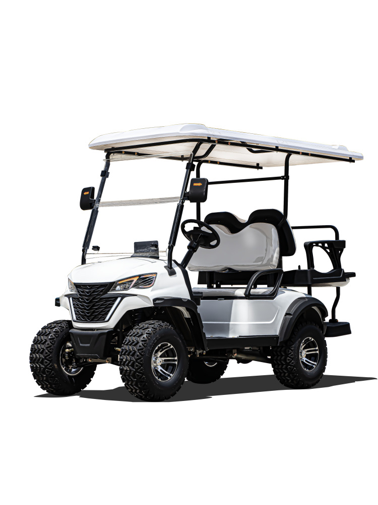 Hot Selling Gas Golf Cart off Road Buggy Gas Powered Golf Cart