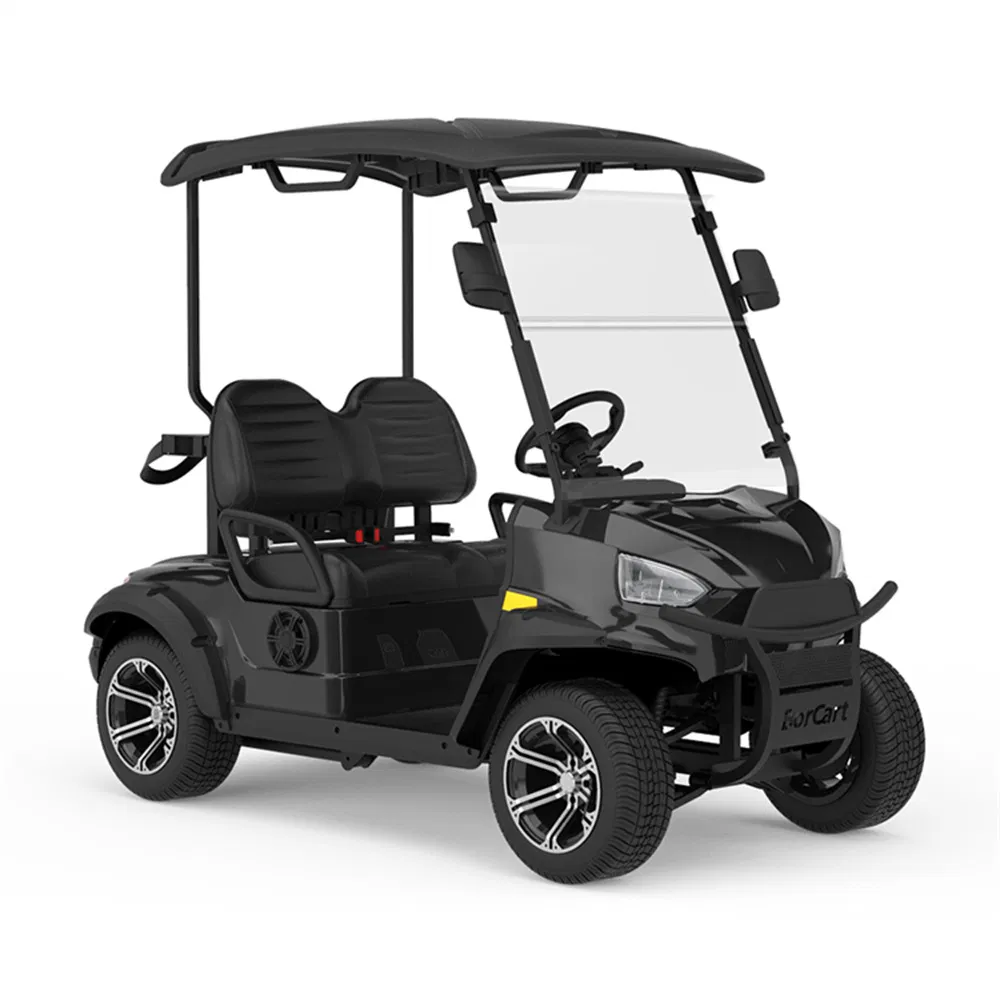 OEM ODM Factory Supply 2 Seat Golf Kart Electric Golf Cart with Folding Seater