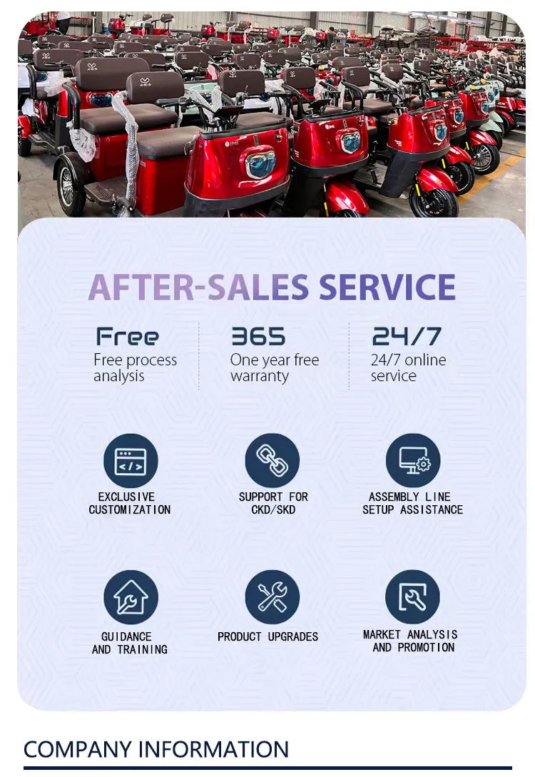 Electric Golf Cart Battery