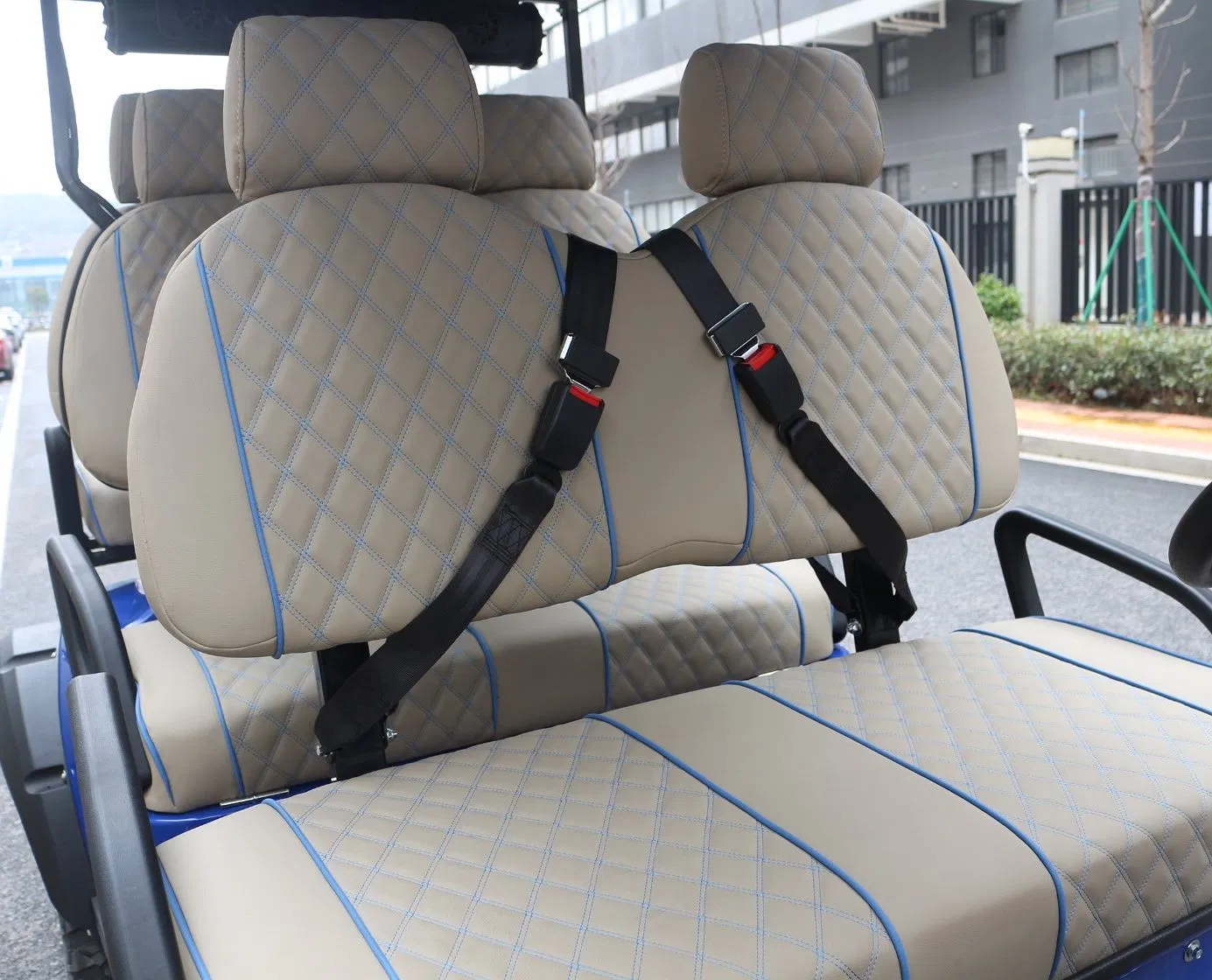 China Gasoline Golf Cart Manufacturer Sightseeing Hunting off Road Club Car Street Legal Utility Mini Solar Panel Lsv Gas Powered Petrol Lifted Golf Buggy