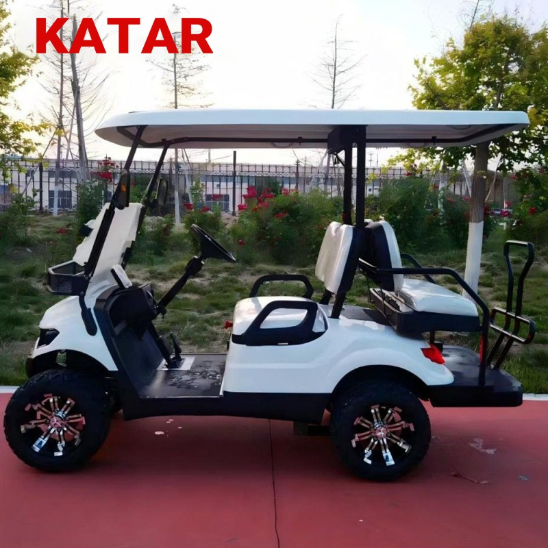 4 Seats Street Legal Electric Gasoline/Gas Lithium Battery Person/Seater Sightseeing Buggy Hunting off Road Club High Performance Low Cost Golf Cart