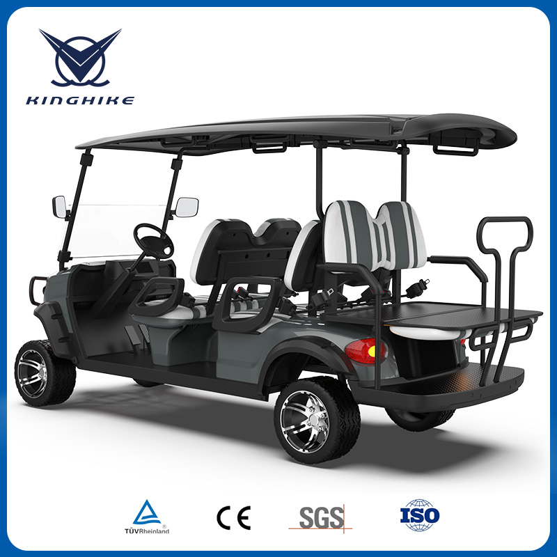 Packed and Loaded by Container Best Electric Golf Carts Sale
