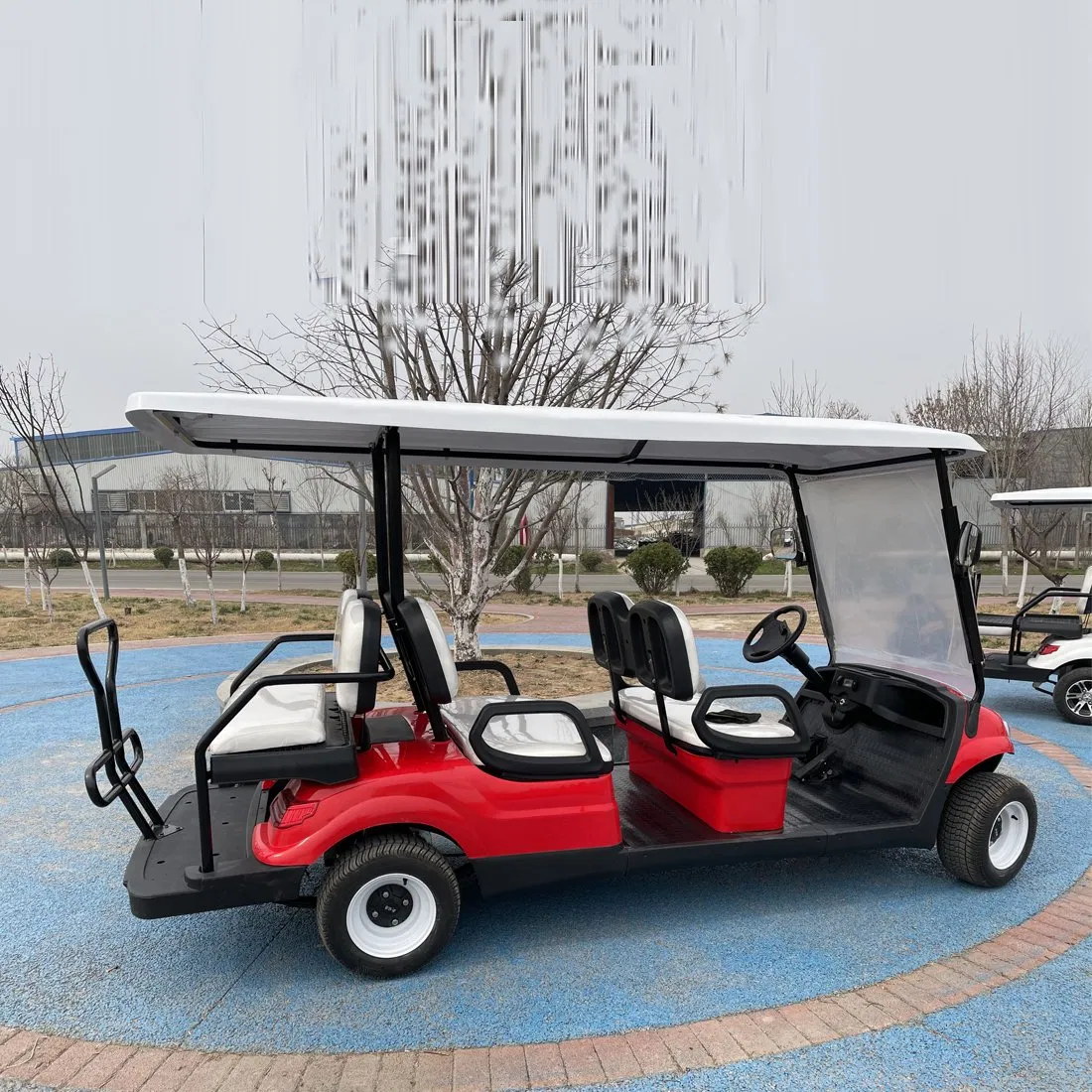 6 Seats 60/72V Lithium Battery Buggy Best Electric Push Car Golf Cart