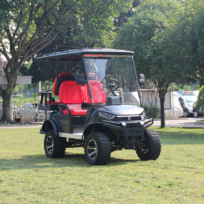 Lithium Battery Solar 2 4 6 Seaters off Road Electric Street Legal Golf Cart Buggy