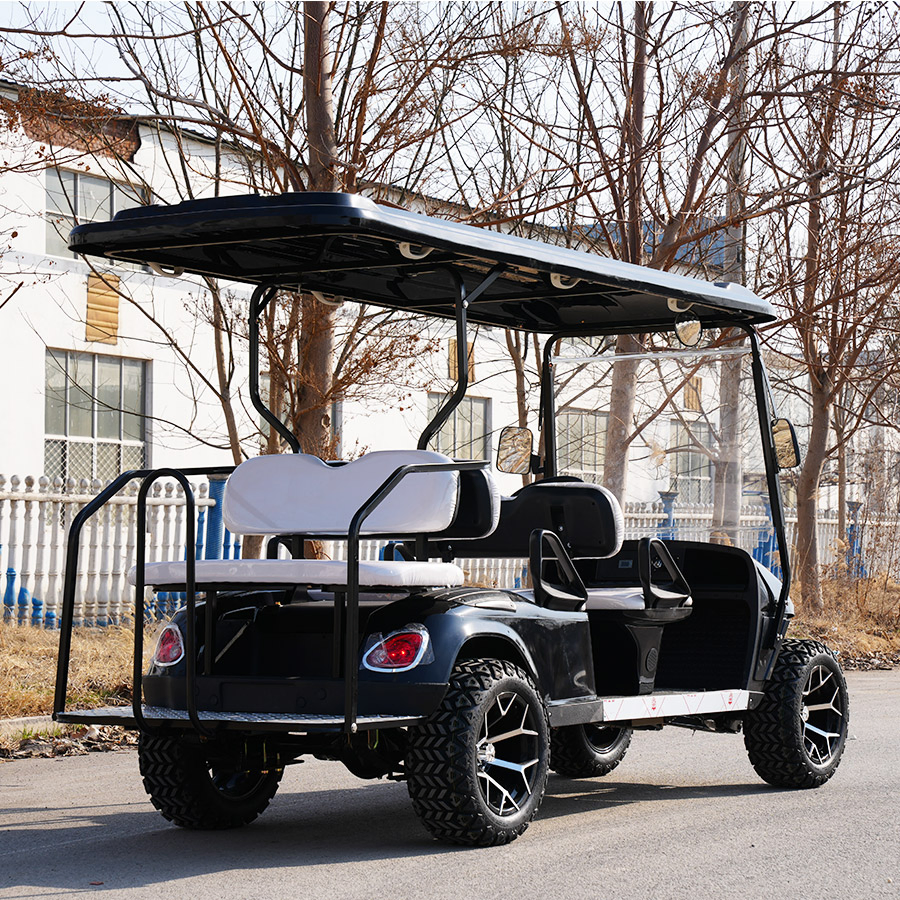 Good Price 6 Seat Electric Golf Cart with 6 Seats and Stable Golf Carts Gas Powered