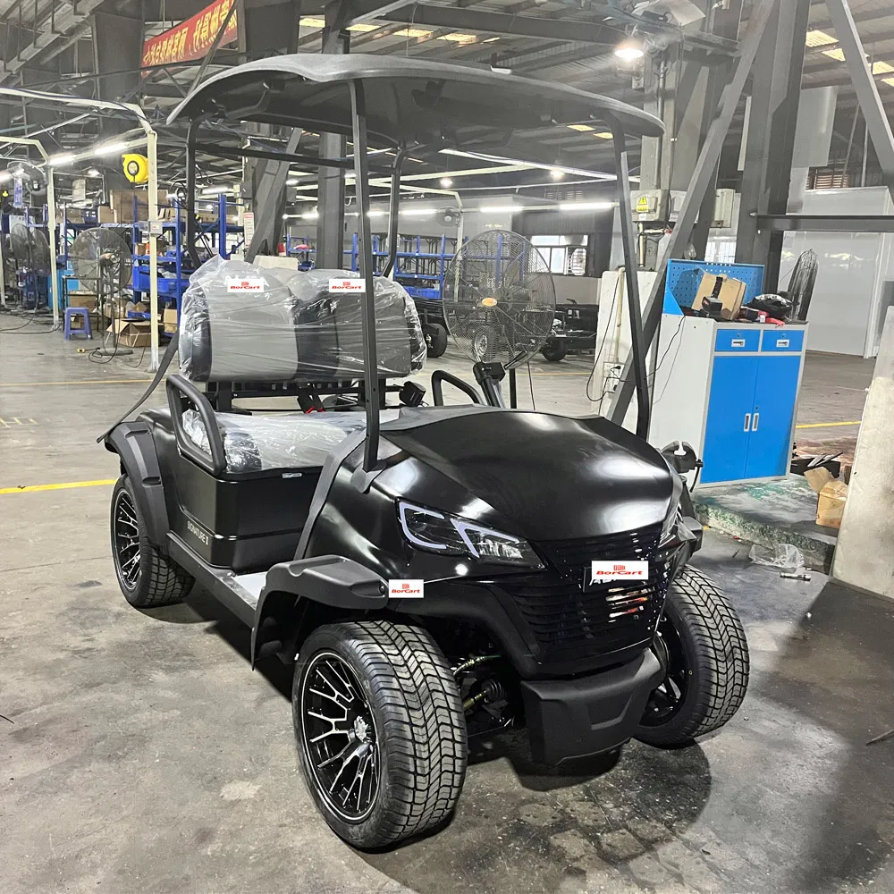 OEM ODM Factory Supply 2 Seat Golf Kart Electric Golf Cart with Folding Seater