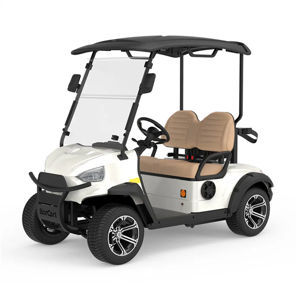 OEM ODM Factory Supply 2 Seat Golf Kart Electric Golf Cart with Folding Seater