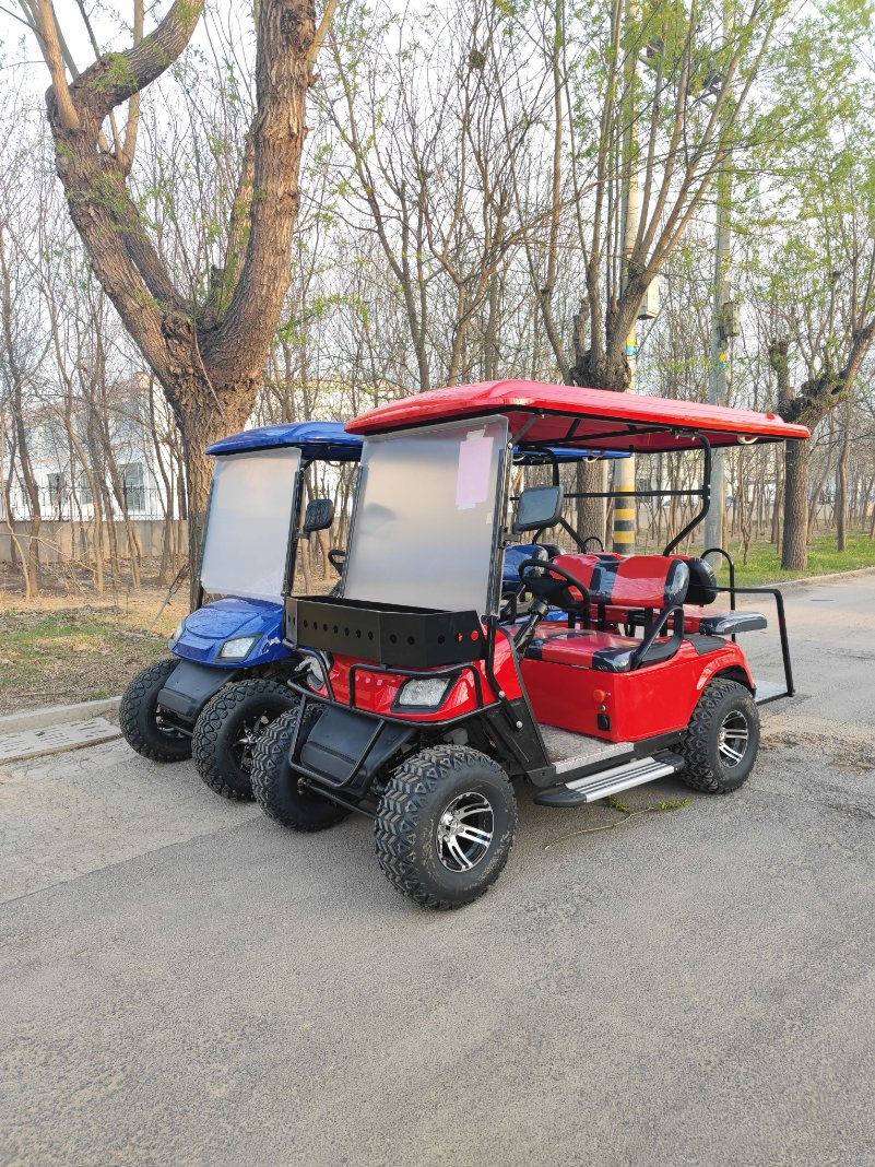 Hot Selling Gasoline Cart 2+2 Seater 4+2 Seater Used Icon Gas Powered Golf Carts/ Electric Golf Cart