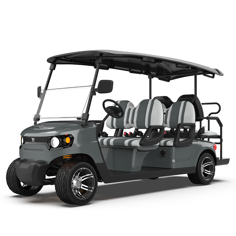Packed and Loaded by Container Best Electric Golf Carts Sale