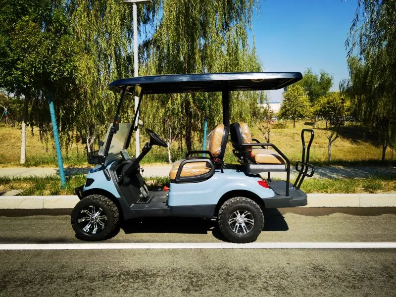 Electric Golf Cart Front View