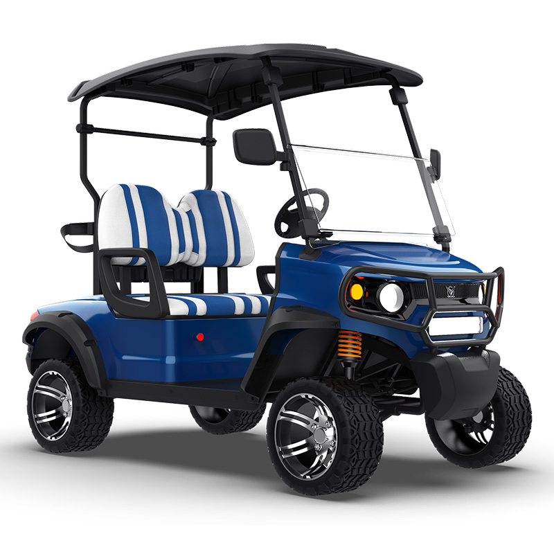 Personal Street Legal Electric Golf Cart Accessories Custom Bodies