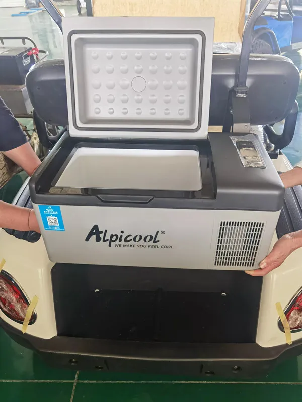 Electric Golf Cart View 2