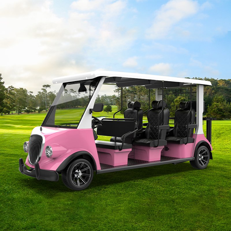 Ultra - Smart Self - Driving Golf Mobility Vehicle Electric Golf Cart