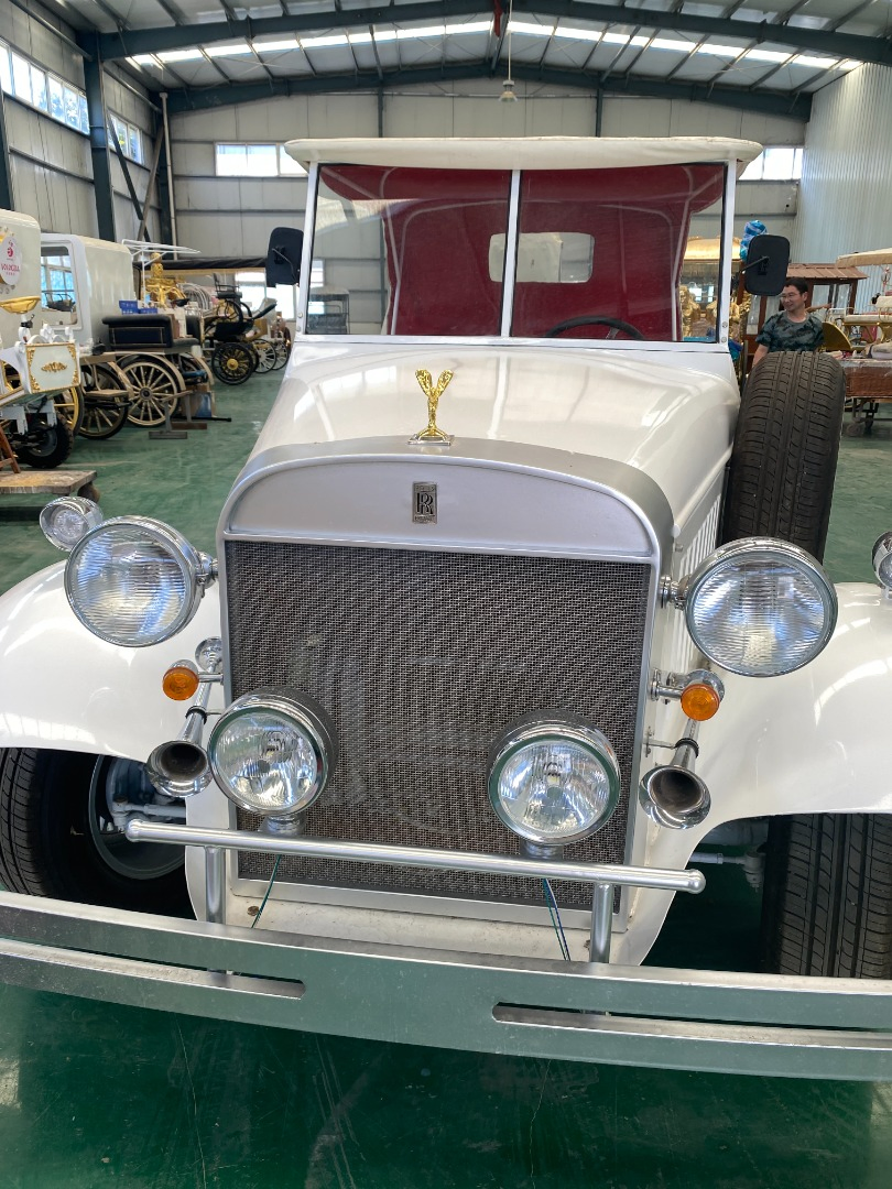 Chinese Accessories Gas Powered Battery Cart Electric Golf Carts