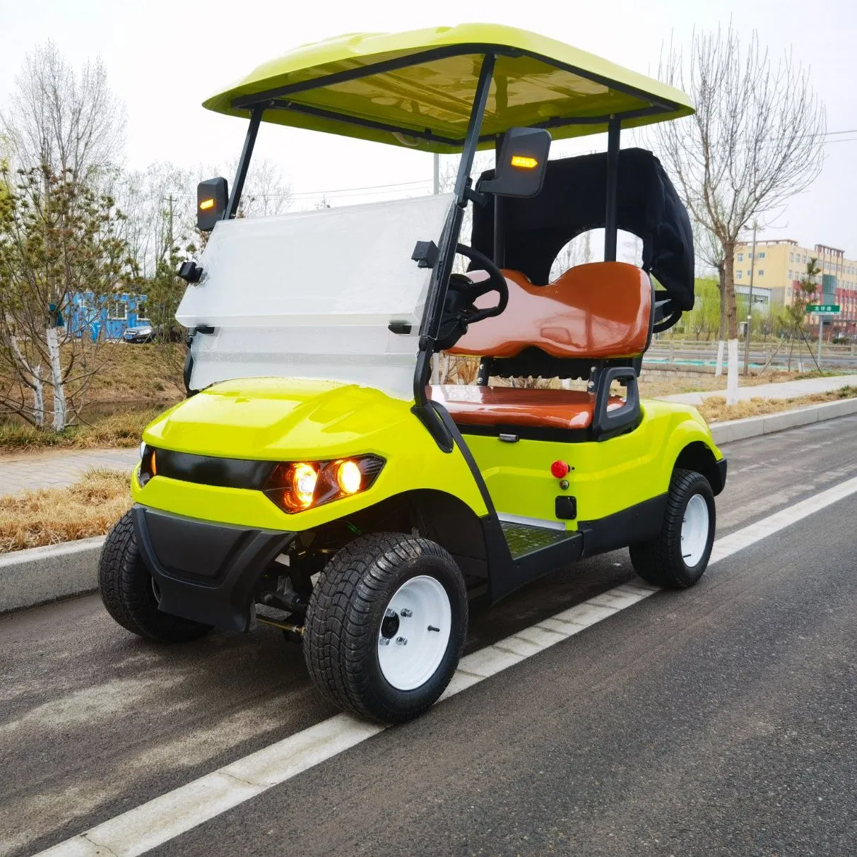 Rugged 2-Seaters Golf Cart with off-Road Tires for Desert Safari