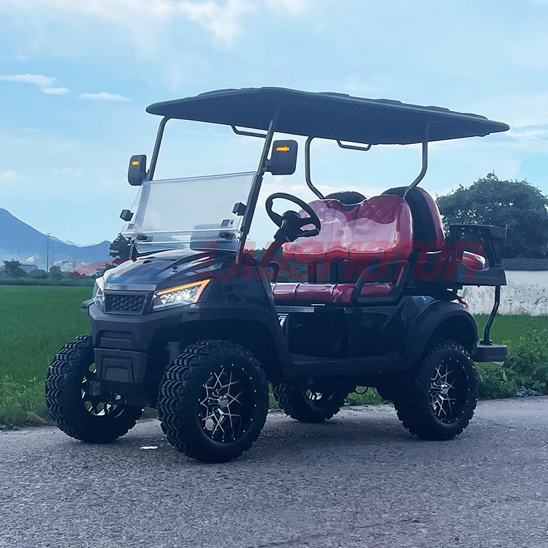Efficient Gas Powered Golf Cart Golf Car for Golf Course Comfort