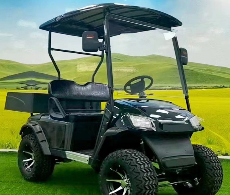 Electric 4 Rear Seater Club Gas Powered Carts Motor for with Kit Volt Car 1 Person Mini Free Shipping 10 Passenger EU Golf Cart