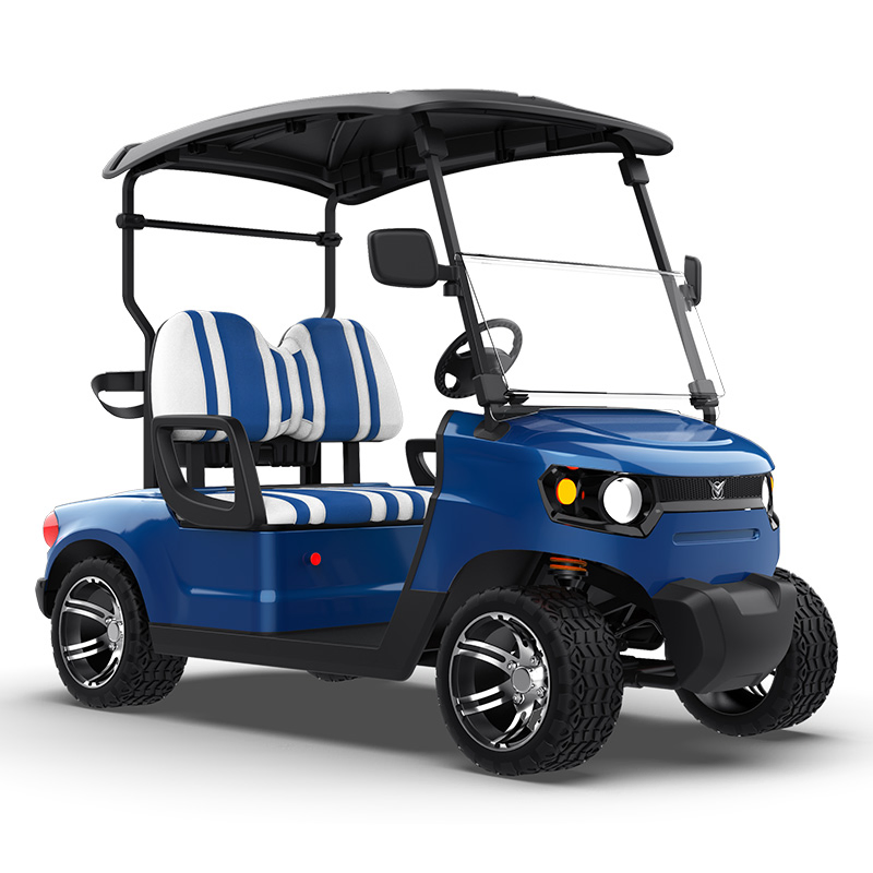 Personal Street Legal Electric Golf Cart Accessories Custom Bodies