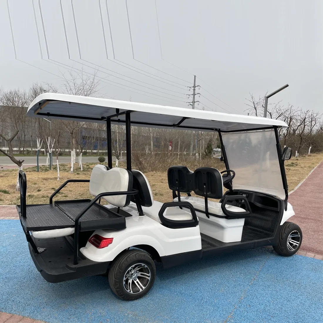 6 Seats 60/72V Lithium Battery Buggy Best Electric Push Car Golf Cart