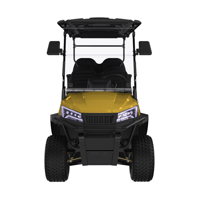 Luxury Electric-Golf Utility Vehicle Hunting-Buggy-Club Car Street-Legal-4seater-Lsv-Offroad-Electric Golf Cart with DOT CE