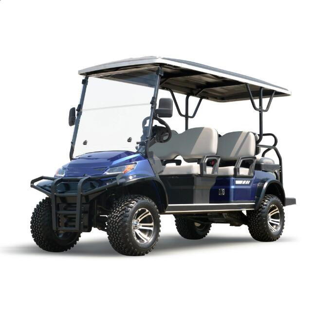 Luxury Lifted Buggy 6 Seats Golf Cart with 5kw Motor for Holiday