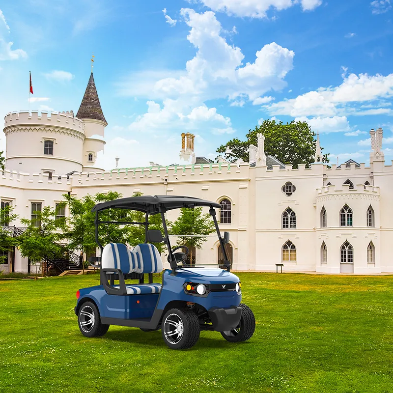Electric Golf Cart