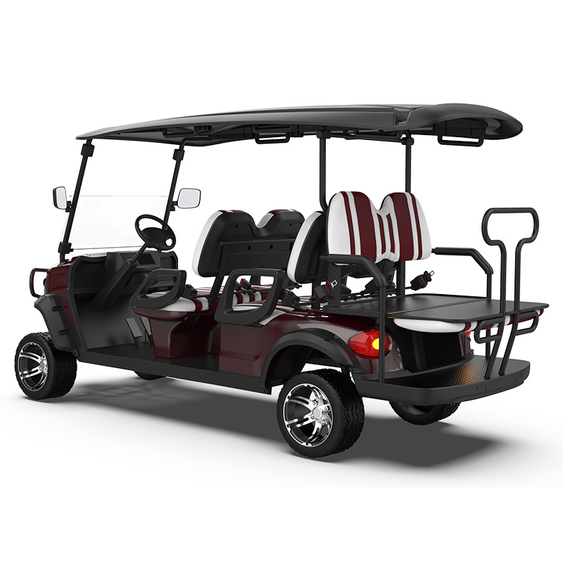 Packed and Loaded by Container Best Electric Golf Carts Sale
