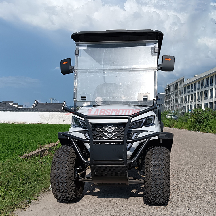 Hot Selling Gas Golf Cart off Road Buggy Gas Powered Golf Cart