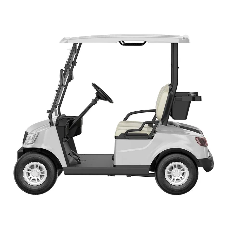 New Arrival Electric 4-Wheel Lithium Battery Golf Cart with 4 Seats and CE (DG-M2)