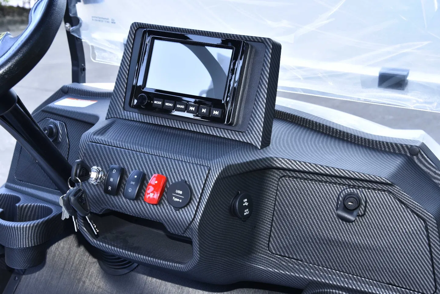 Custom Golf Golf Cart 25mph Golf Car Electric Golf Cart