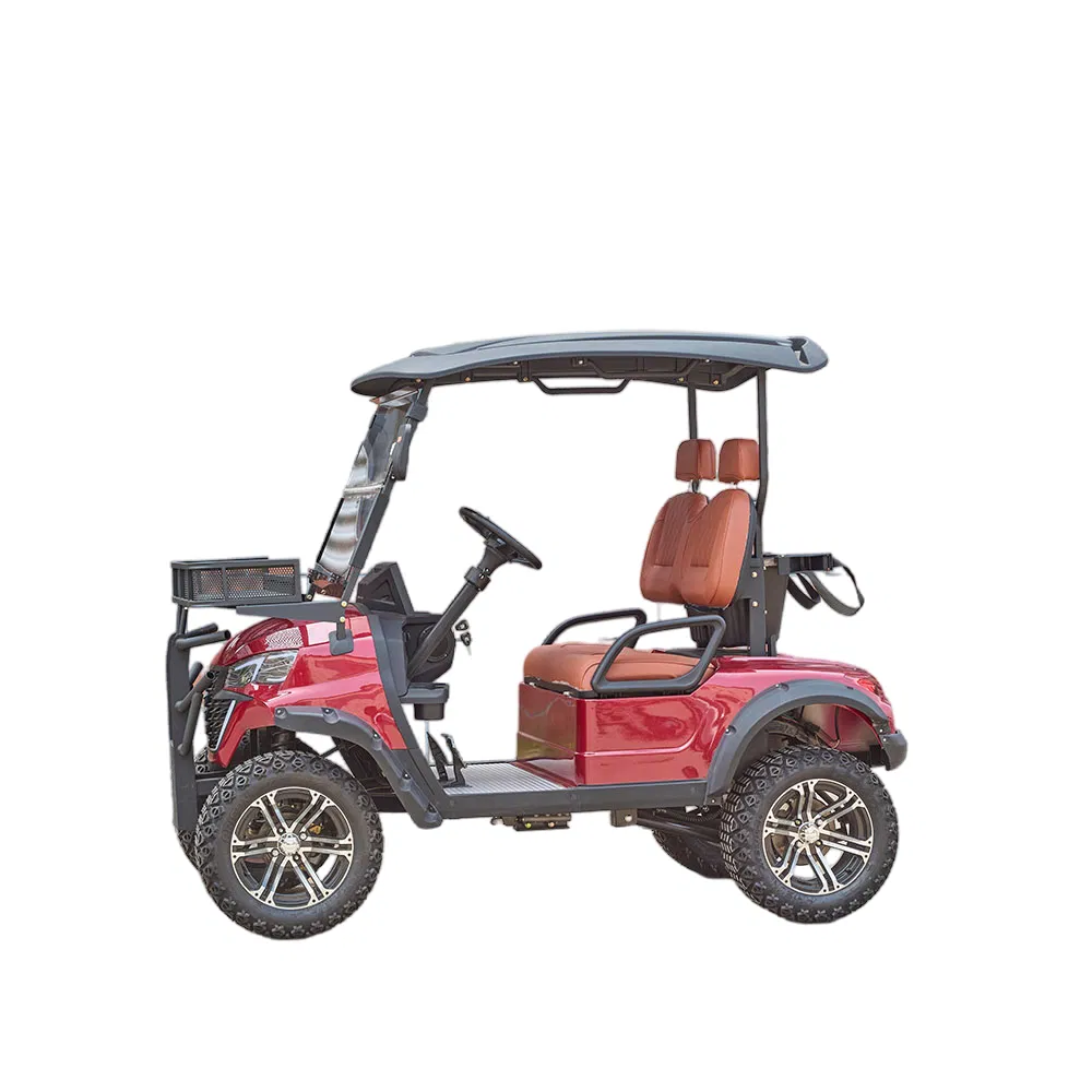Efficient Customizable Electric Golf Cart with Luxury 2 Seat Design