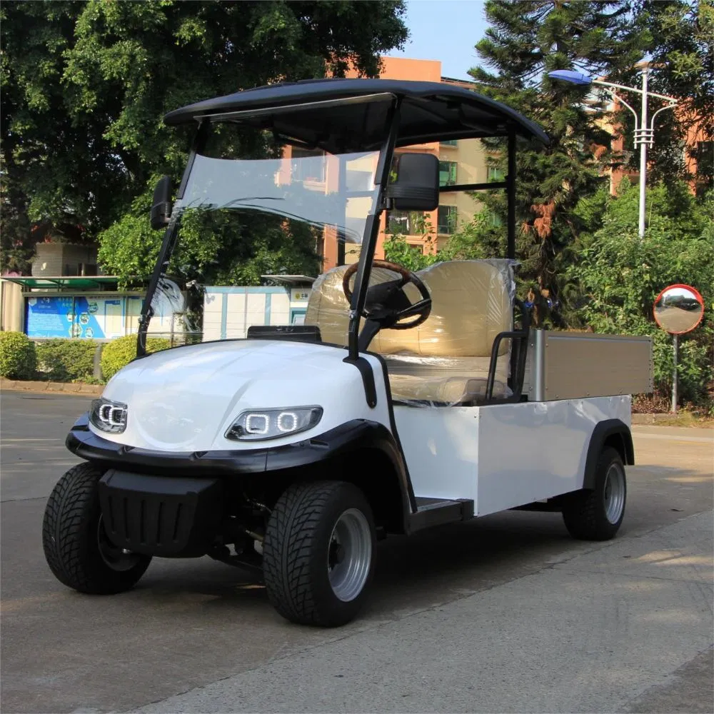 Electric Utility Cart with Fixed Cargo Box 48V Motor 2 Seater Golf Cart Mini Truck
