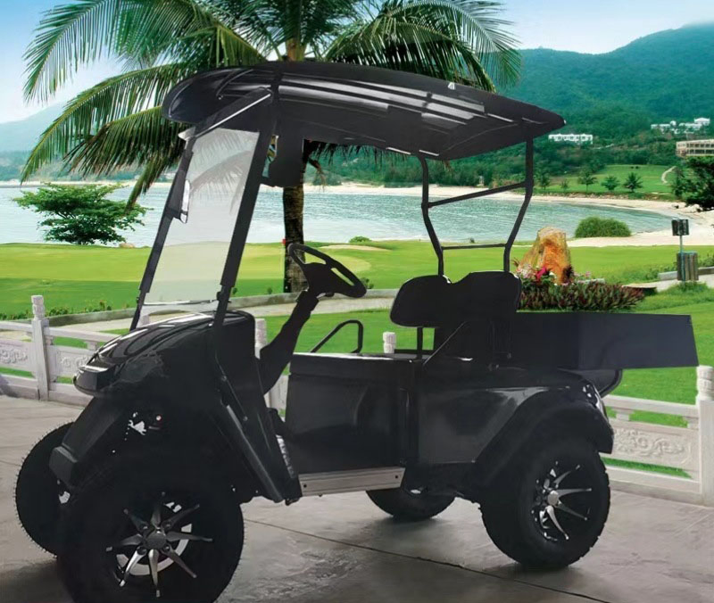 Electric 4 Rear Seater Club Gas Powered Carts Motor for with Kit Volt Car 1 Person Mini Free Shipping 10 Passenger EU Golf Cart